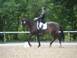 IMG_0682_web
